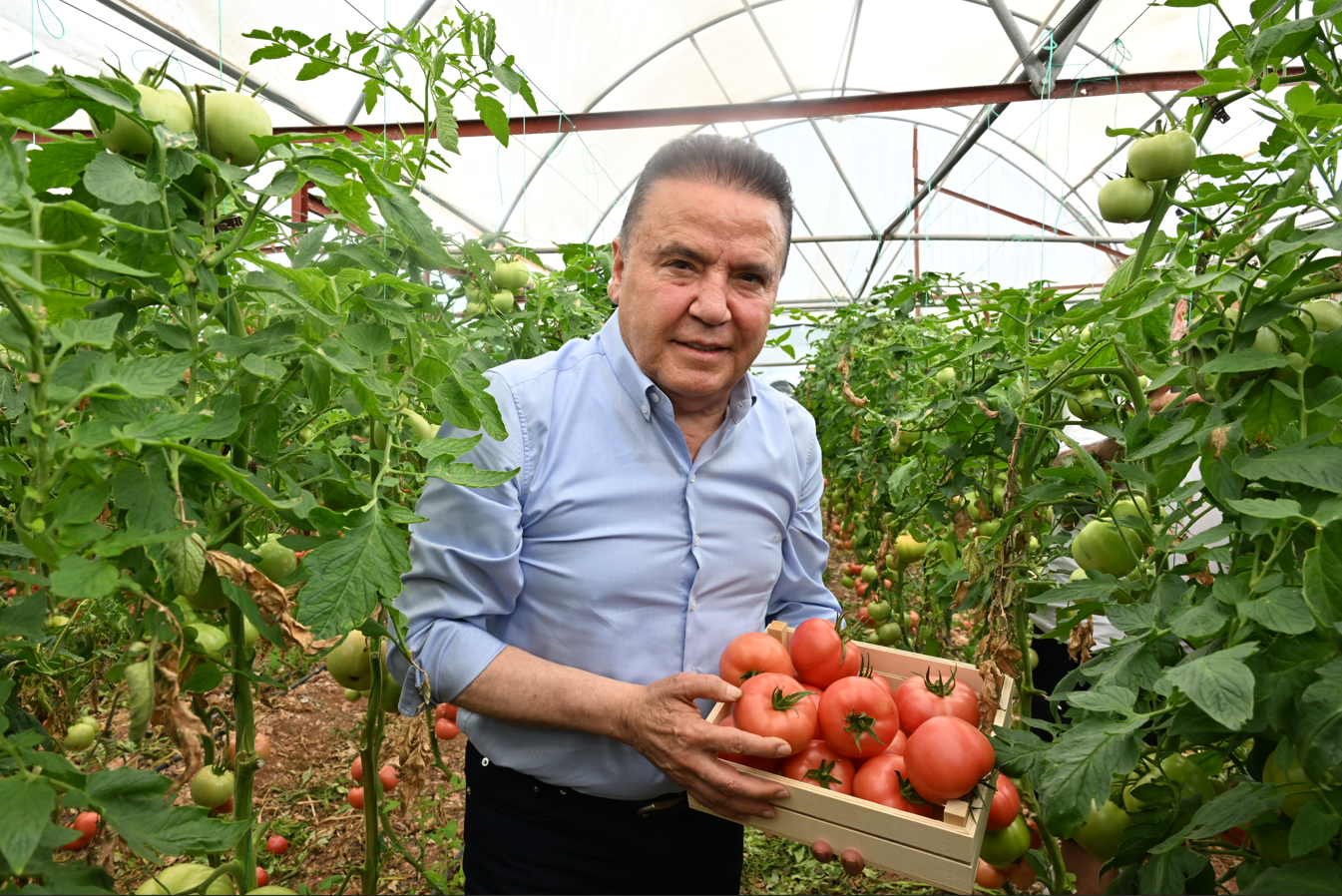 Ekran Görüntüsü 2025 05 09 190445