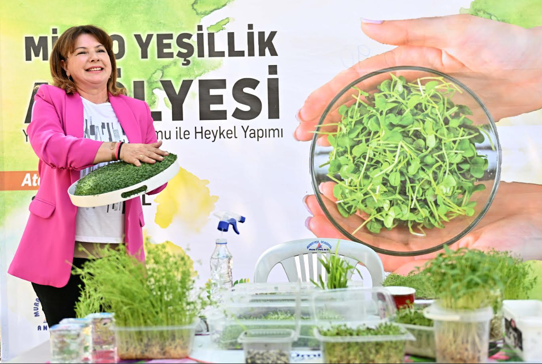 Ekran Görüntüsü 2025 05 23 203121