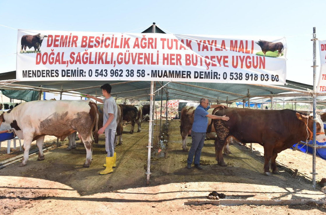 Ekran Görüntüsü 2025 05 25 221259
