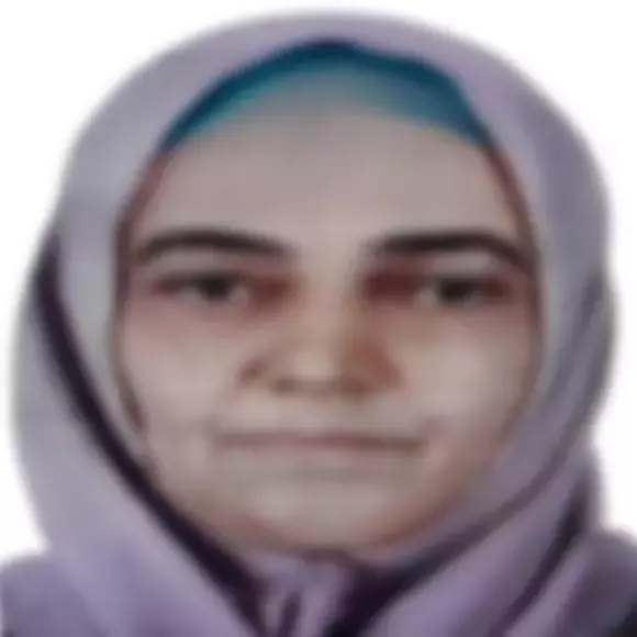68872B9E0E2C3C6Ca81717Fc