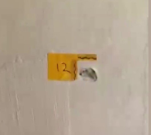 Adana'da Film Gibi Baskın: Anne Oğula Kurşun