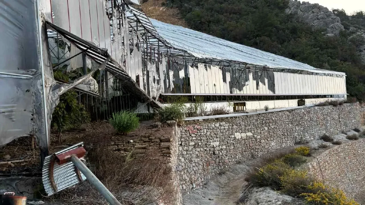 Alanya'da Muz Serasına Sabotaj: 3 Tutuklama