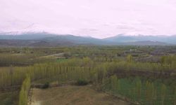 Iğdır’da kış ve bahar bir arada