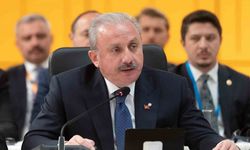 ŞENTOP AB'NİN DÖNÜM NOKTASINDA OLDUĞUNU SÖYLEDİ