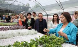 SELVİ KILIÇDAROĞLU BÜYÜKŞEHİR BİTKİ ÜRETİM TESİSİNİ GEZDİ
