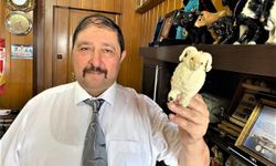 FEDERASYON BAŞKANI SOKAKTA KIYMA ÇEKENLERE CEZA YAĞACAK DEDİ