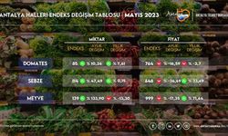 SEBZE FİYATLARI ANTALYA HALİNDE DÜŞÜŞE GEÇTİ