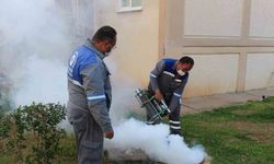 YAZ BOYU SİNEKSİZ BİR YAŞAM İÇİN İLAÇLAMA TİMİ ÇALIŞIYOR