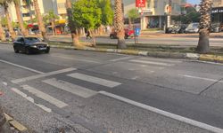YAYA GEÇİT GÖRÜNTÜLÜ GEÇİTSİZ YOL PORTAKAL ÇİÇEĞİ