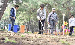 Öğrenciler HayatPark’ı çimlendirdi