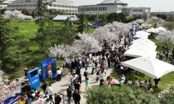 SABANCI ÜNİVERSİTESİ’NDE SAKURA FESTİVALİ
