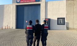 3  Köpeğin Saldırısında 85 Yaşındaki Kadın Hayatını Kaybetti