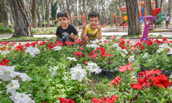 Kepez'e Rengarenk Sevgi Çiçekleri