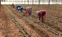 Antalya İhracatta Fark Atıyor