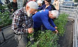 Alzheimer Hastalarına Umut Evi: “Mavi Ev”