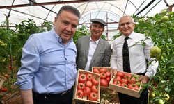 FoodFest Gastronomi Festivali Domates Hasadı İle Başladı