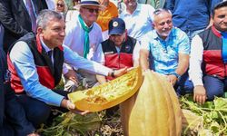 Antalya’da Coğrafi İşaretli Ürün Seferberliği Sürüyor
