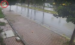 Seyir halindeki otomobil alev topuna döndü