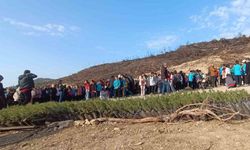 Öğrenciler, orman yangınında zarar gören alana fidan dikti