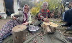 Kozalakları Kaynatarak Şifa Deposuna Dönüştürüyorlar