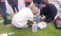 Aniden Yola Fırlayan 5 Yaşındaki Çocuğa Otomobil Çarptı