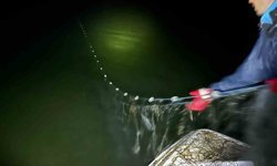 Eğirdir Gölü'nde bin 200 metre kaçak ağ ele geçirildi