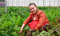 5. Uluslararası Antalya FoodFest Gastronomi Festivali Akdeniz yeşillikleri hasadıyla başladı