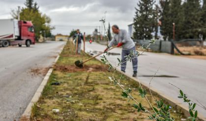 Kepez Tarihi Mirasıyla Yeşilleniyor