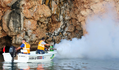 Falezlerden Sokaklara: Sineksiz Yaz İçin Tam Mücadele