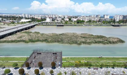 Boğaçayı’nda Kuş Cenneti: 220 Tür Tespit Edildi!