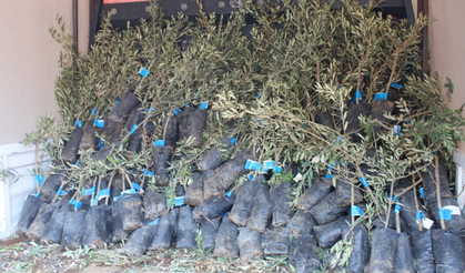 Antalya’dan Üreticiye Yeşil Destek