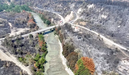 Orman Yangınları Durmuyor: 2 Noktada Tehlike Sürüyor