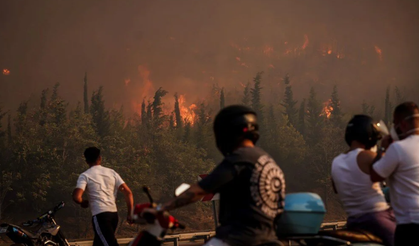 Orman Yangınlarında Son Durum: Yangınlarla Mücadele Sürüyor