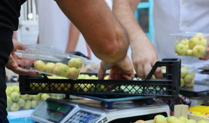 Kocaaliler’de Kültür ve Sanat İncirle Buluştu