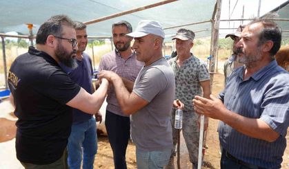 Antalya'da kurban pazarında son kozlar oynandı: 'Zor belayla aldık, çok pazarlığını yaptık'