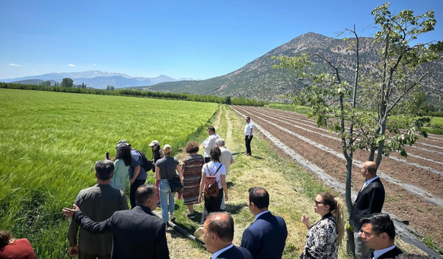 Cezaevlerinde Yeşeren Gelecek: AB’den Tarım Desteği