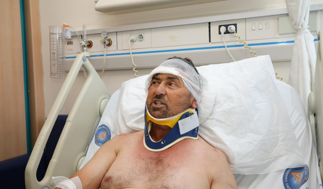 Ölümle Burun Buruna: Aslanın Pençesinden Mucizeyle Kurtuldu