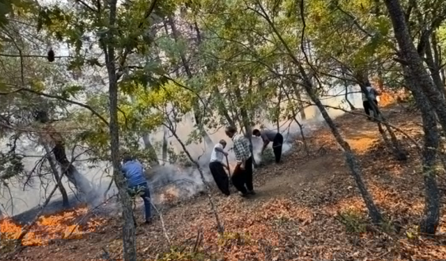 Feke’de Orman Yangınına Hızlı Müdahale