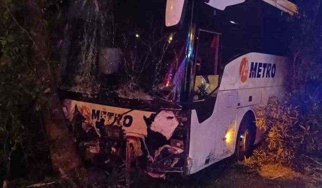 Antalya’da yolcu otobüsü refüjdeki ağaç ve aydınlatma direğine çarptı: 3 yaralı