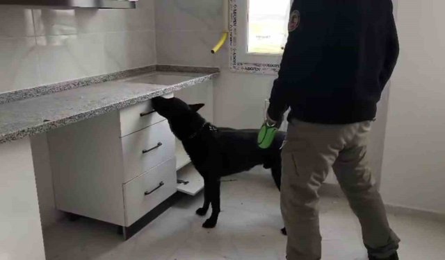 72 bin extacy yakalatıp 'bizim değil' savunması yaptılar