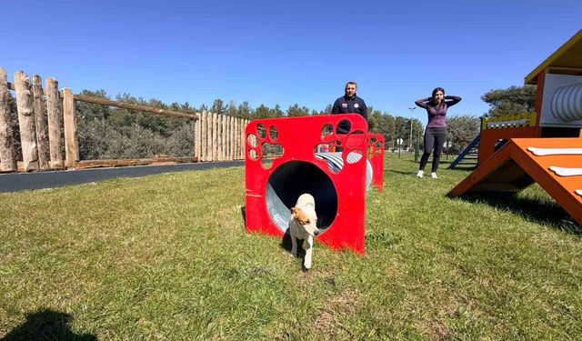 Duacı Mahallesi'nde Pati Park hizmet açıldı