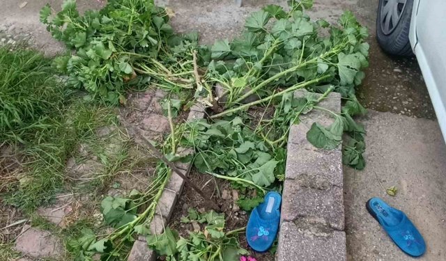 Antalya'da küçük çocuk ikinci kattan düştü, olayı kırıklarla atlattı