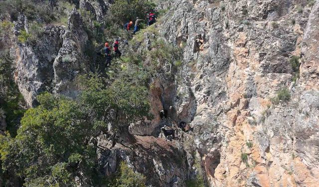 Dağda mahsur kalan keçiler kurtarıldı