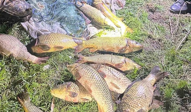 Eğirdir Gölü'nde kaçak avcılara suçüstü: 100 kilo sazan yeniden göle bırakıldı