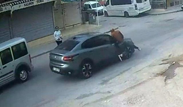 El sallayıp karşıya geçmek isterken otomobil çarptı