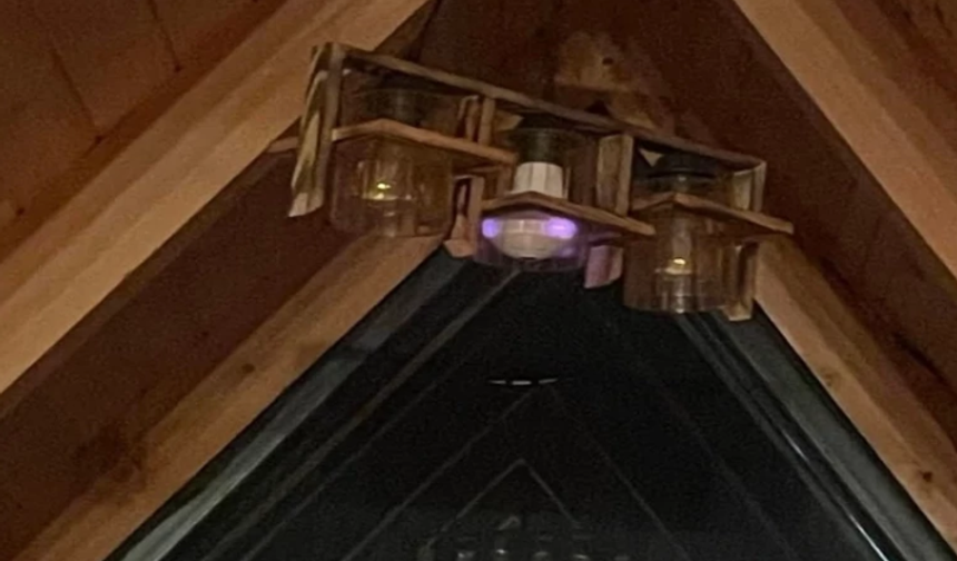 Bungalov Davasında Sanıklar Tahliye edildi