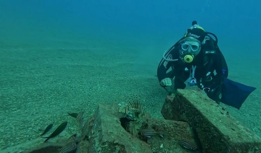 Profesör deniz dibinde taşlardan balıklara yuva yaptı: 12 tür barış içinde yaşıyor