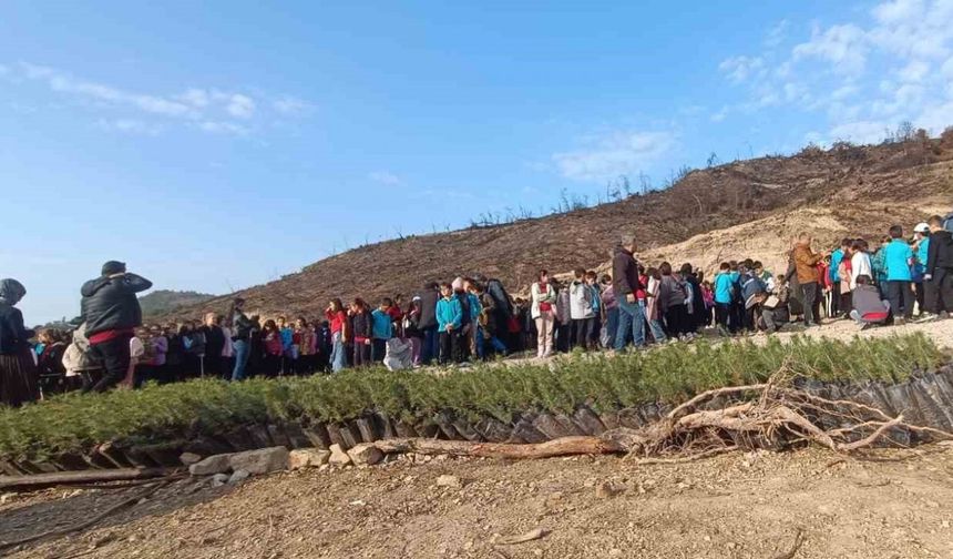 Öğrenciler, orman yangınında zarar gören alana fidan dikti