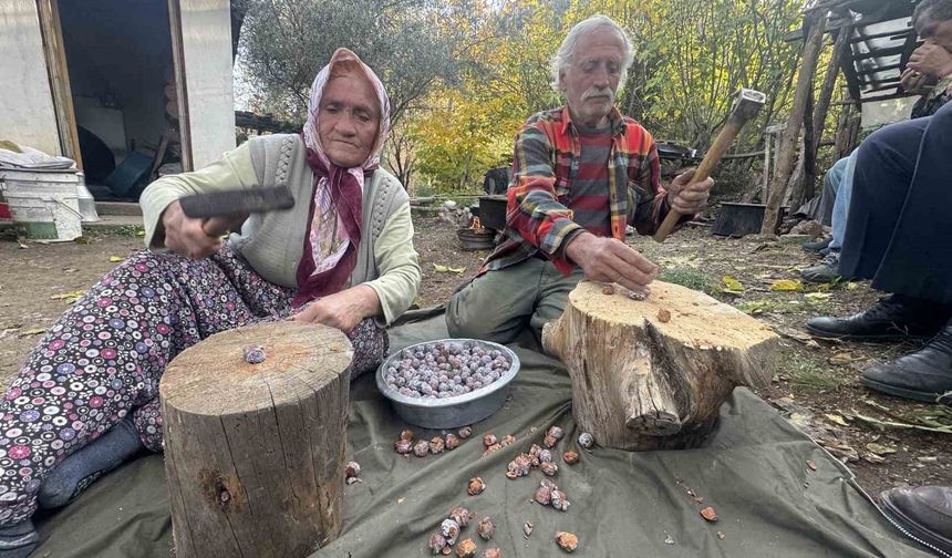 Kozalakları Kaynatarak Şifa Deposuna Dönüştürüyorlar