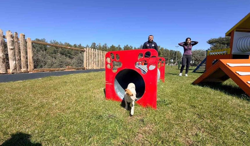 Duacı Mahallesi'nde Pati Park hizmet açıldı